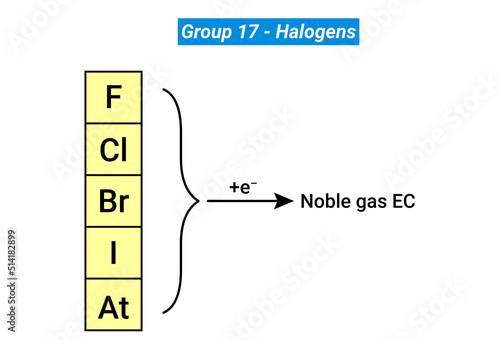 Group 17 elements (halogens) have very high negative electron gain enthalpies photo