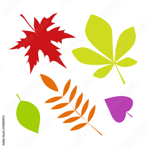 Autumn leaves set, isolated on white background. Simple cartoon flat style. Isolated vector illustration. Design for stickers, logo, web and mobile app. Vector illustration