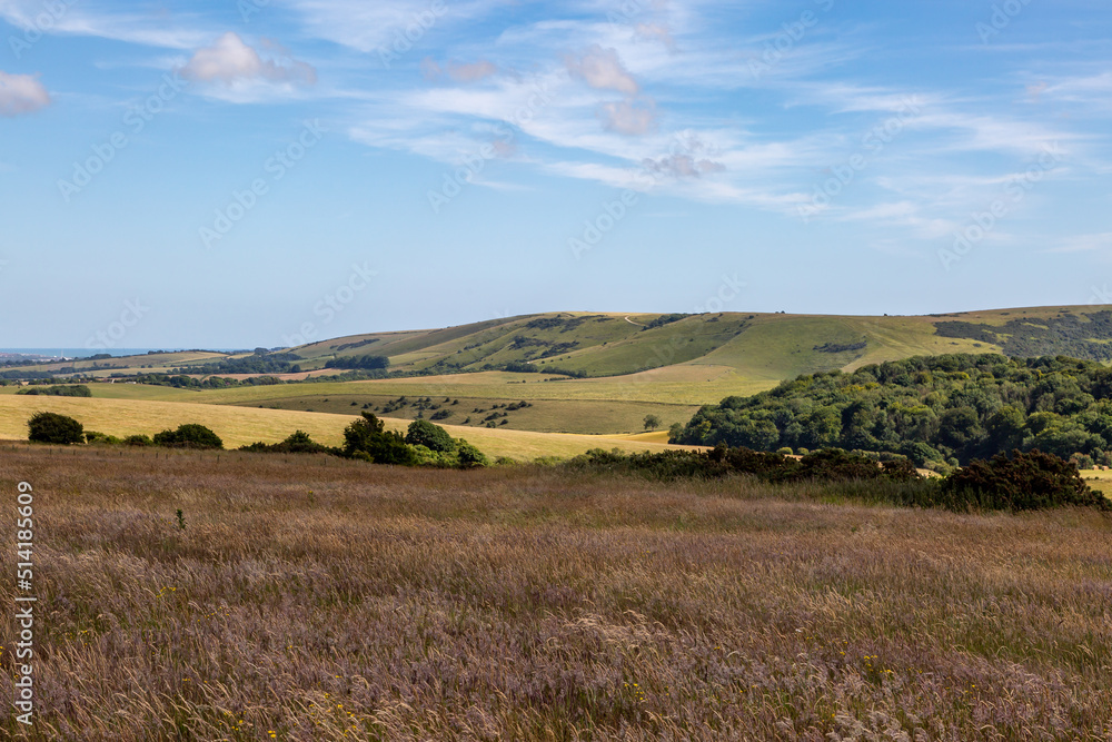 A rural Sussex landscape, with wild grass in a field in the foreground