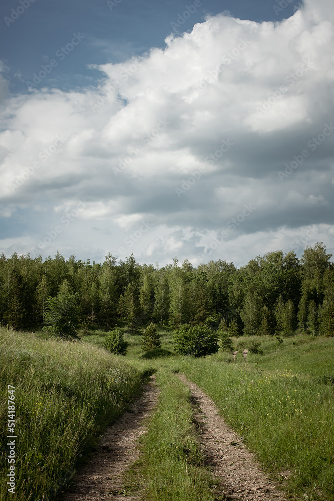 Dirt road to the forest. Summer landscape. Dirt road to the forest. Summer landscape.