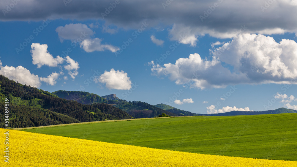 Fototapeta premium Spring landscape with fields of oilseed rape. Hills and blue sky with dramatic clouds in the background. The Klak hill from The Rajecka valley in Slovakia, Europe.