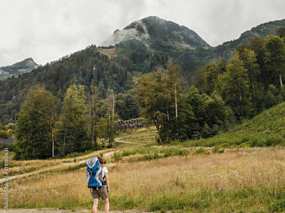 rear view of young woman with big backpack walking on mountain trail against coniferous trees hiking and enjoying nature, healthy active lifestyle, digital detox, weekend activities