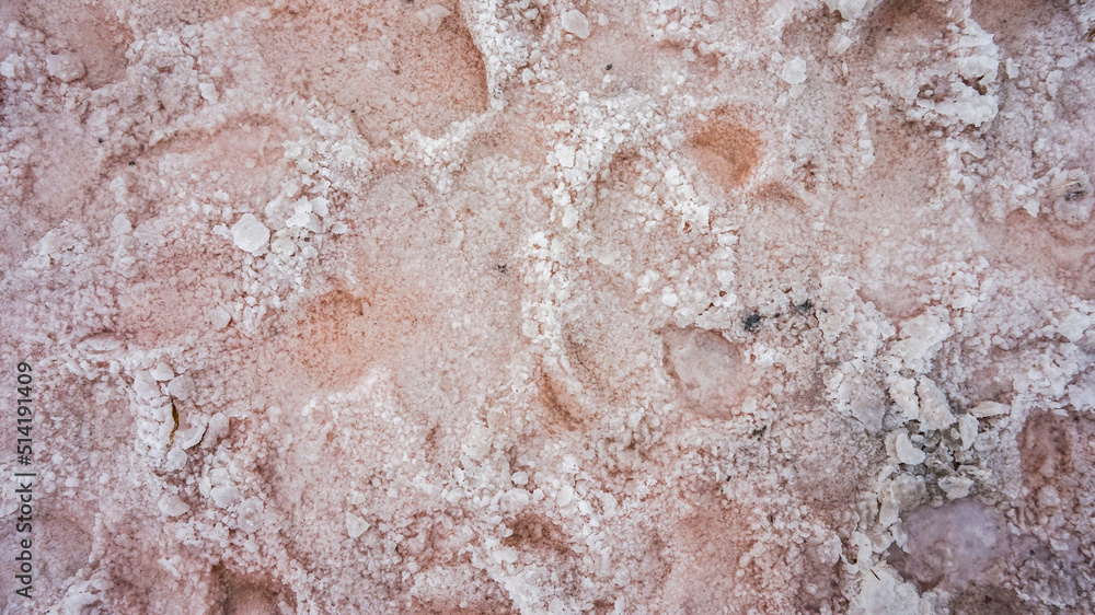 Natural background chi texture of small, pink salt crystals.  The unique phenomenon of the Kuyalnik estuary, Ukraine.