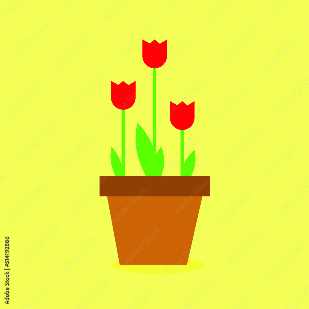 red tulip in a flowerpot red tulip in a flowerpot