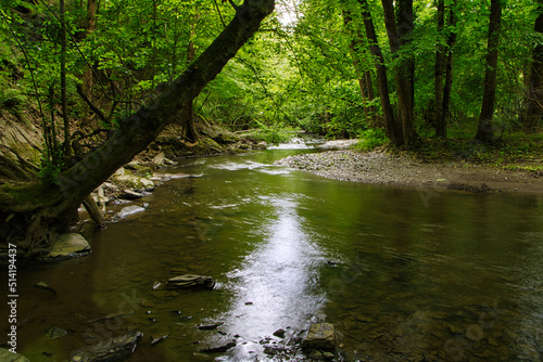 Kleiner Fluss Bach im Wald 