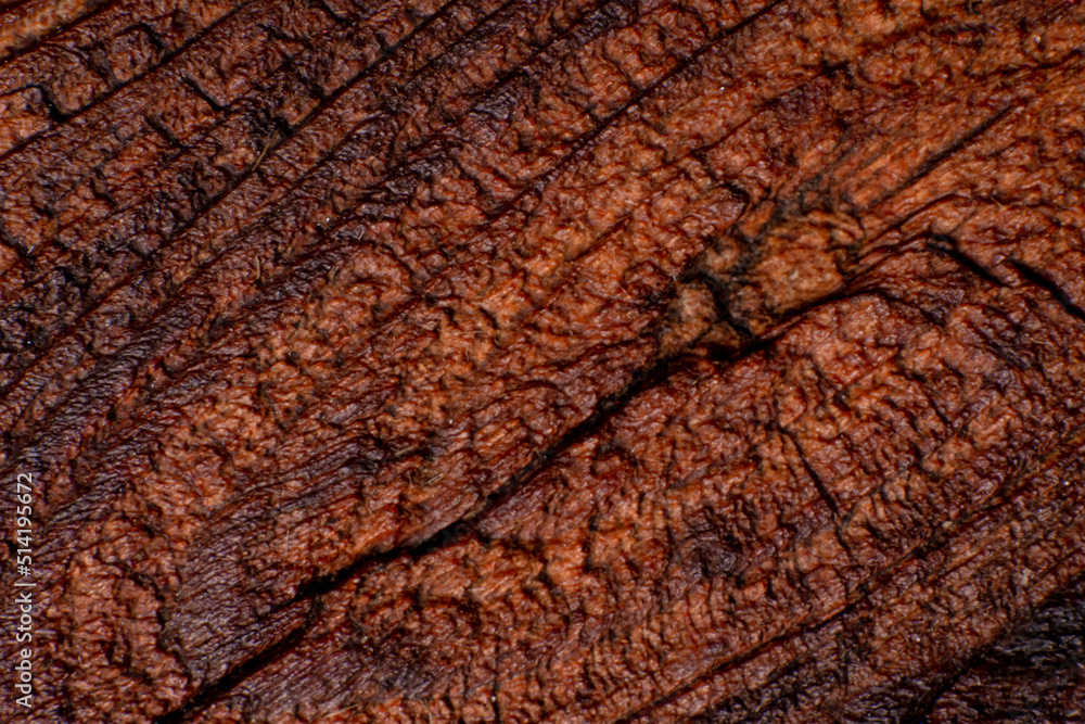 Texture of old wood close-up. Can be used as a background. Texture of old wood close-up. Can be used as a background.