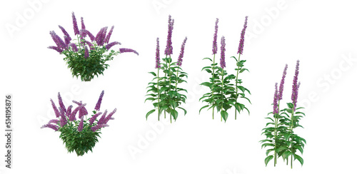 3d render flowers on a white background