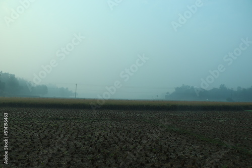 Photo Landscape of winter morning on a land where crops are cultivate