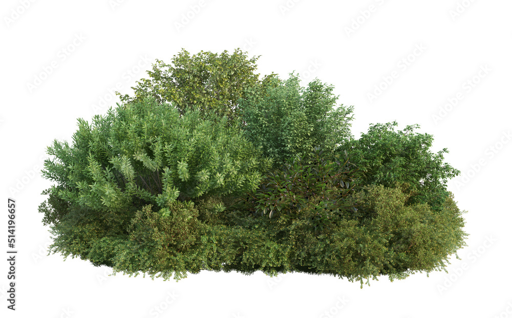 Fototapeta premium 3d render flowers and shrubs on a white background