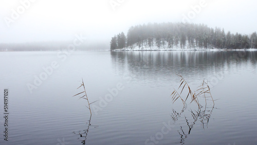 lake in fog