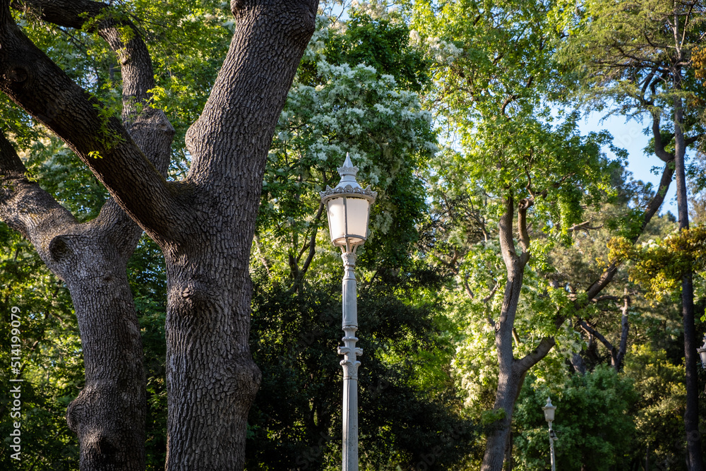 Fototapeta premium Garden in city Istanbul, Turkey