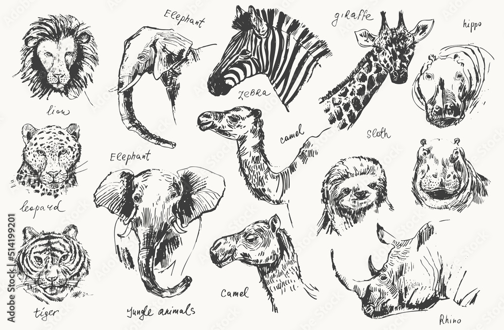 Obraz premium Abstract hand drawn jungle animals portrait illustration