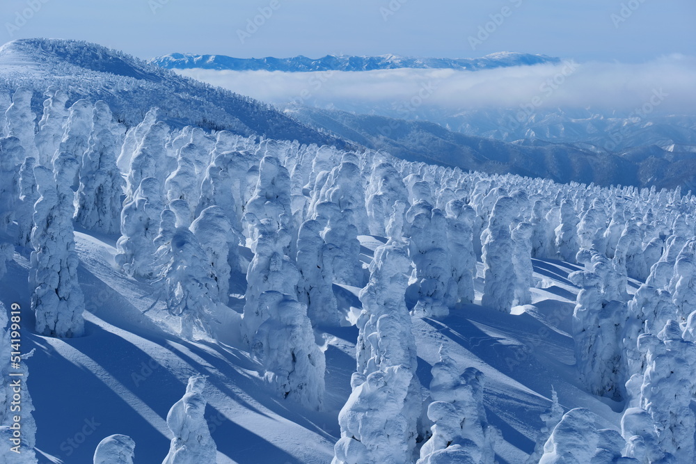 蔵王の樹氷。山形、日本。1月下旬。 Stock Photo | Adobe Stock