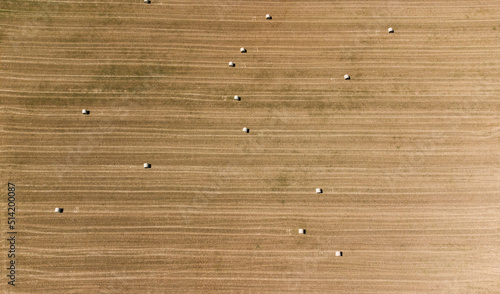 Fotografie Champ parsemé de boules de foin