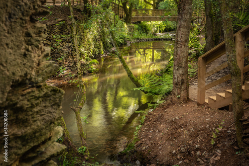 Wooden footbridge and vegetation in Stanislaus fountain park