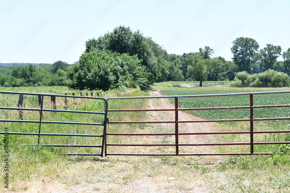 Farm Field Fence Gate by a Dirt Road