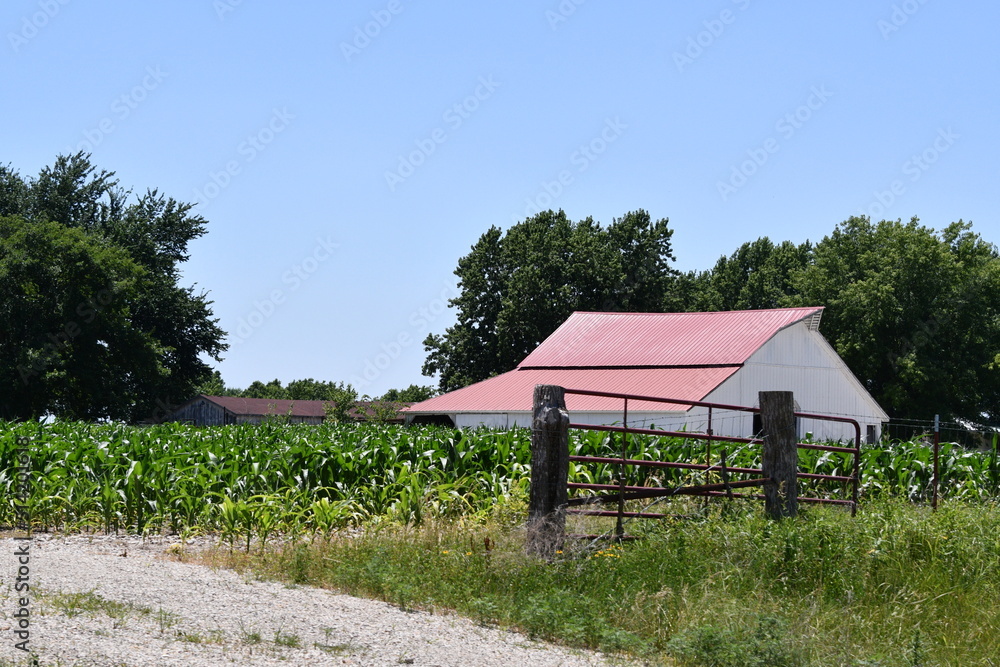Barn in a Farm Field