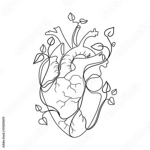 Human heart with branches growing plant leaves line art vector illustration isolated on white background. Abstract anatomical heart liner drawing, black and white sketch, great design for any purposes