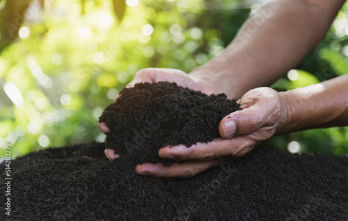 closeup hand of person holding abundance soil for agriculture or planting peach.