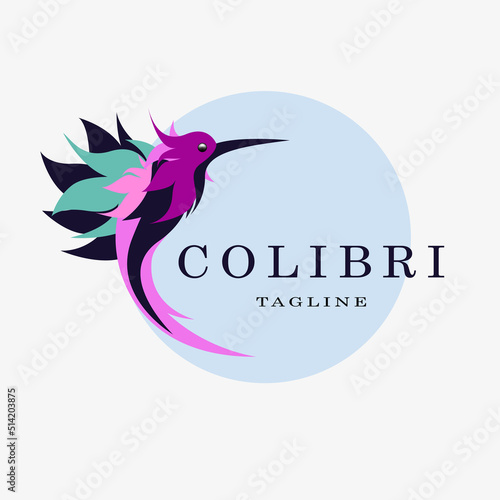 Beautiful Simple Bird Colibri Logo Design Vector. Creative stylish colored logo