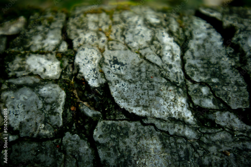 Fototapeta premium A cracked stone with focused light