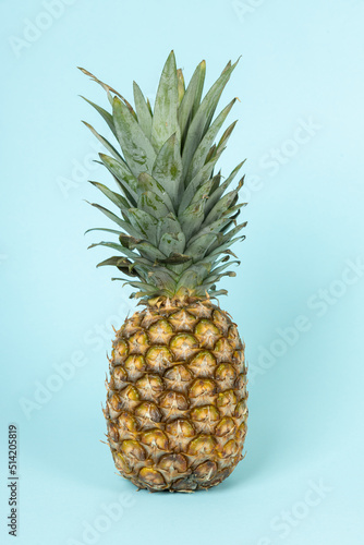 Fresh pineapple fruit on blue background