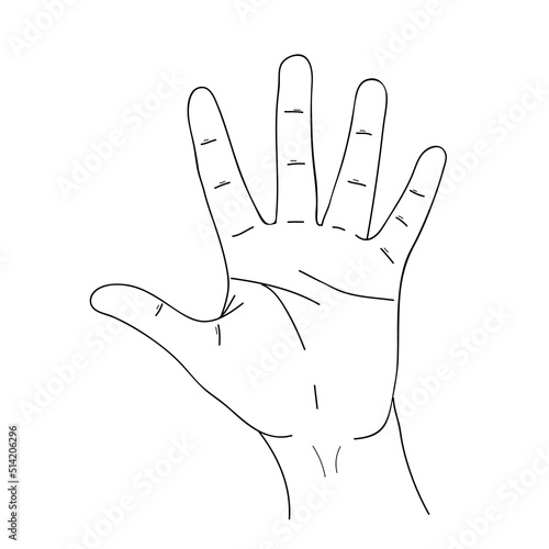 Sketch of sign Hi, Hand with five fingers. Open palm showing number five or Hello gesture. Black and white doodle, hand drawn image in line style. Vector