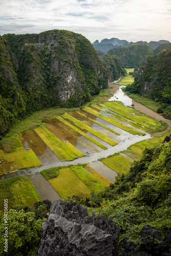 Vista panorámica de los arrozales de Ninh Binh photo