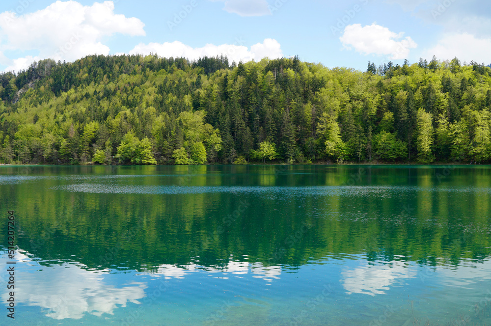 transparent emerald-green waters of lake Alatsee in Fuessen with the snowy Alps and the lush green spring forest in the background, Bavaria, Germany	