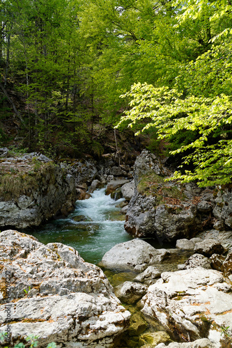 an emerald green brook (Steinacher Achen river) in Pfronten, Fallmühle,  in the Bavarian Alps of the Allgaeu region (Allgaeu, Bavaria, Germany)
