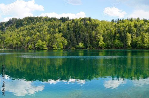 transparent emerald-green waters of lake Alatsee in Fuessen with the snowy Alps and the lush green spring forest in the background  Bavaria  Germany 