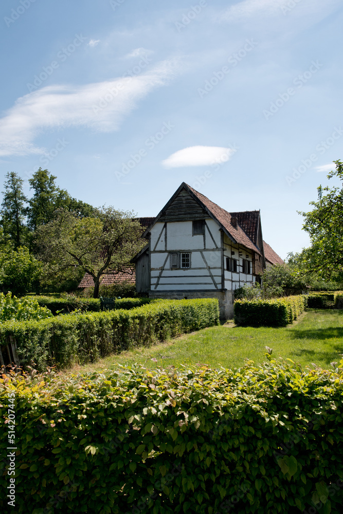 small village house among the green meadow, retro style, village life, rural small village house among the green meadow, retro style, village life, rural