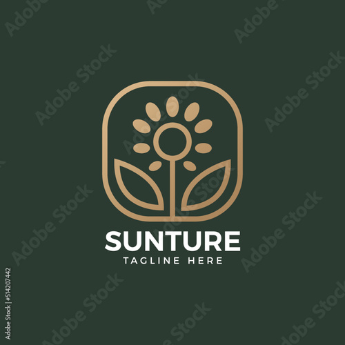 Sun flower in square frame logo. Outline media nature line logo concept. Botanical icon for farm, company, beauty, flourish vector illustration