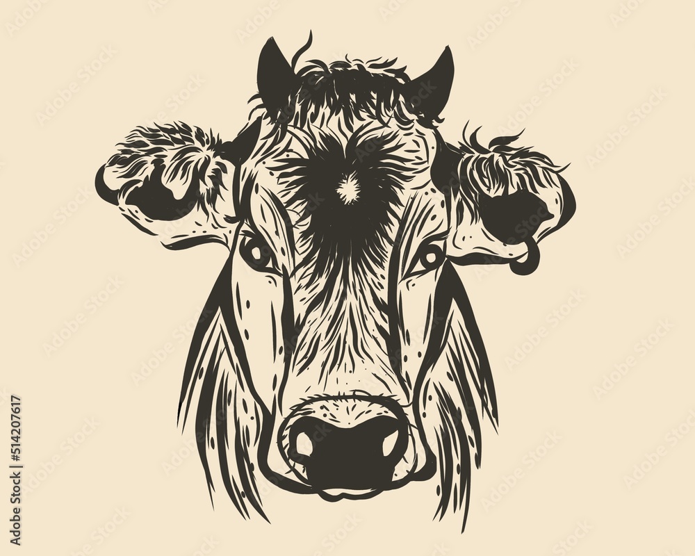 head of cow drawing