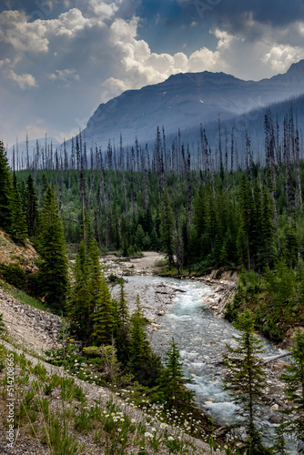 Tokkum Creek rolls on Kootenay National Park British Columbia Canada