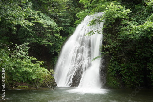 waterfall in the forest