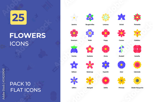 Flower Flat Icons Collection. Set contains such Icons as red rose, sun flower, lirs, and more. photo