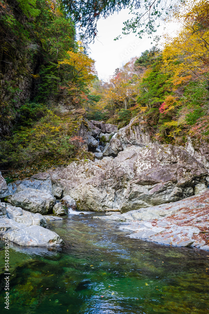 みたらい渓谷(奈良県吉野郡天川村)の紅葉 みたらい渓谷(奈良県吉野郡天川村)の紅葉