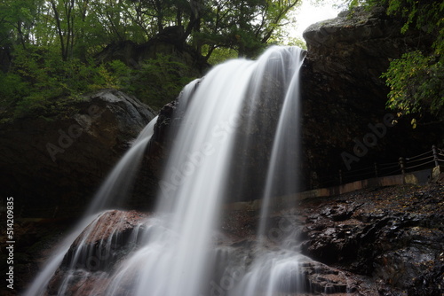 waterfall in the forest　雷滝