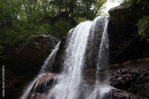 waterfall in the forest 雷滝