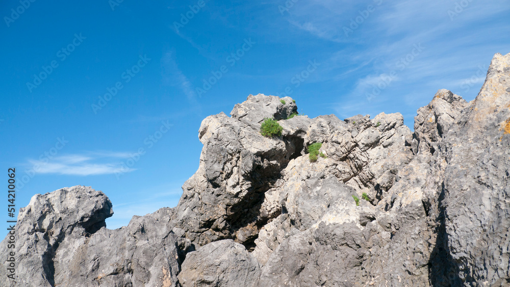 Arbustos verdes silvestres en rocas graniticas en el litoral bajo cielo azul