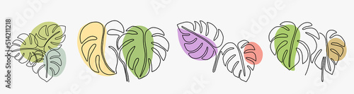 Simplicity monstera leaf freehand continuous line drawing flat design.