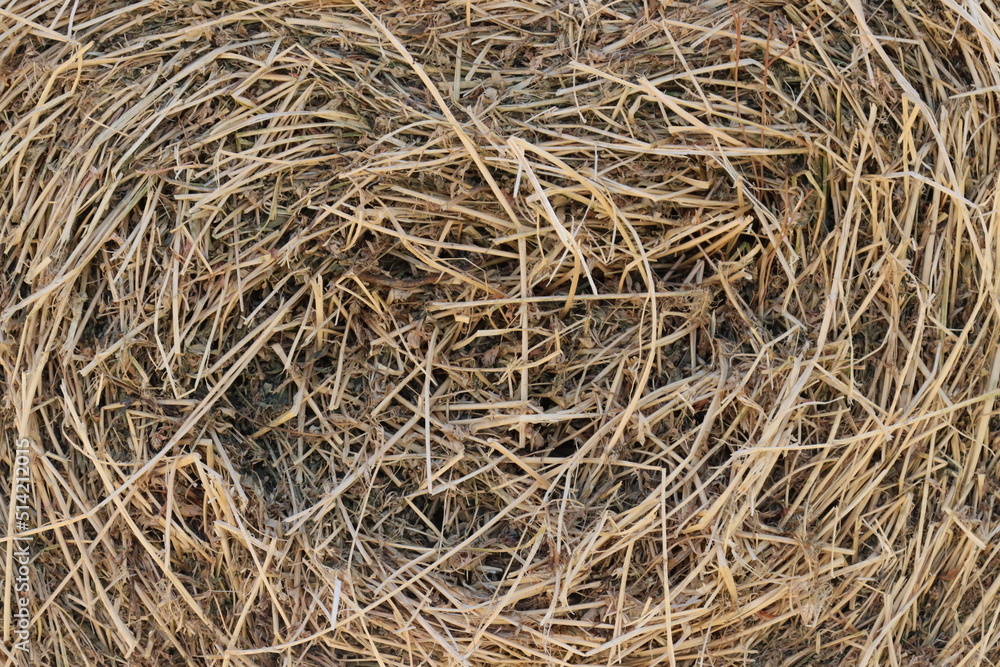 roll of tied and dried hay bales-