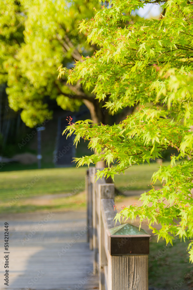 蜻蛉池公園（大阪府岸和田市）