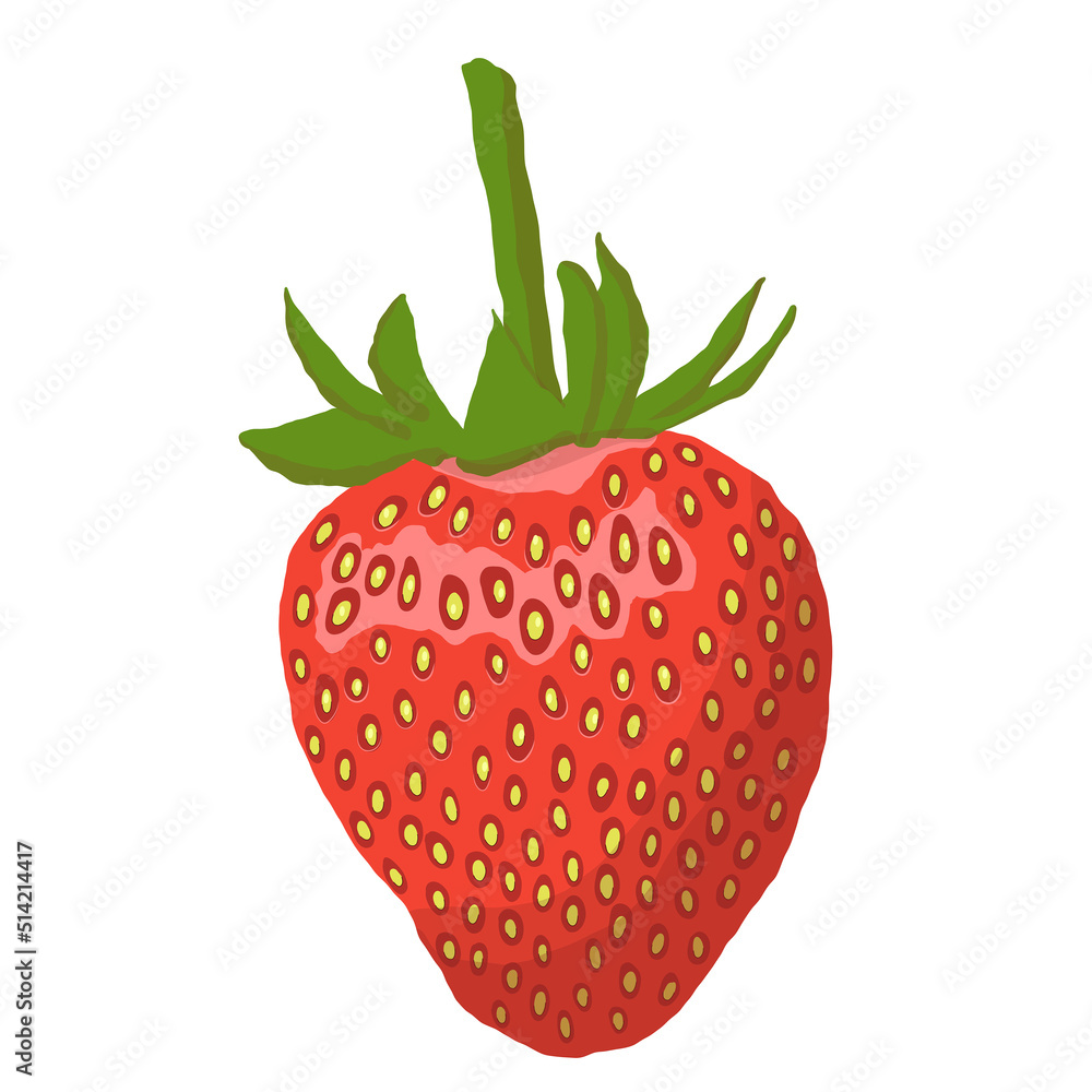 Ripe red strawberry. Berry vector illustration Ripe red strawberry. Berry vector illustration