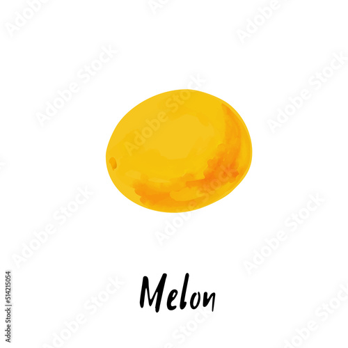 Illustration of a melon isolated on a white background