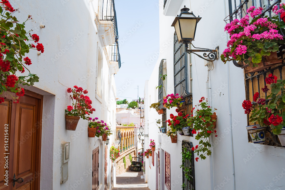 Fototapeta premium Cityscape of the village of Mojacar (Almeria, Andalusia, Spain)
