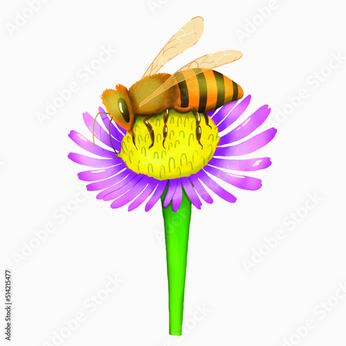 Bee pollinating a flower. Isolated stock vector illustration