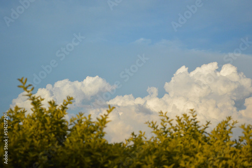 clouds over the field
