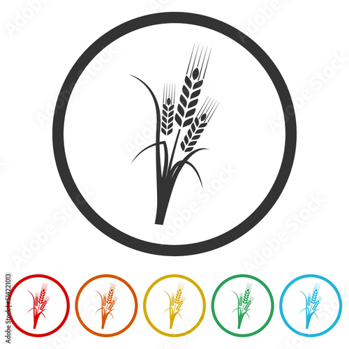 Cereals set with rice, wheat, corn, oats, rye, barley icons in color circle buttons